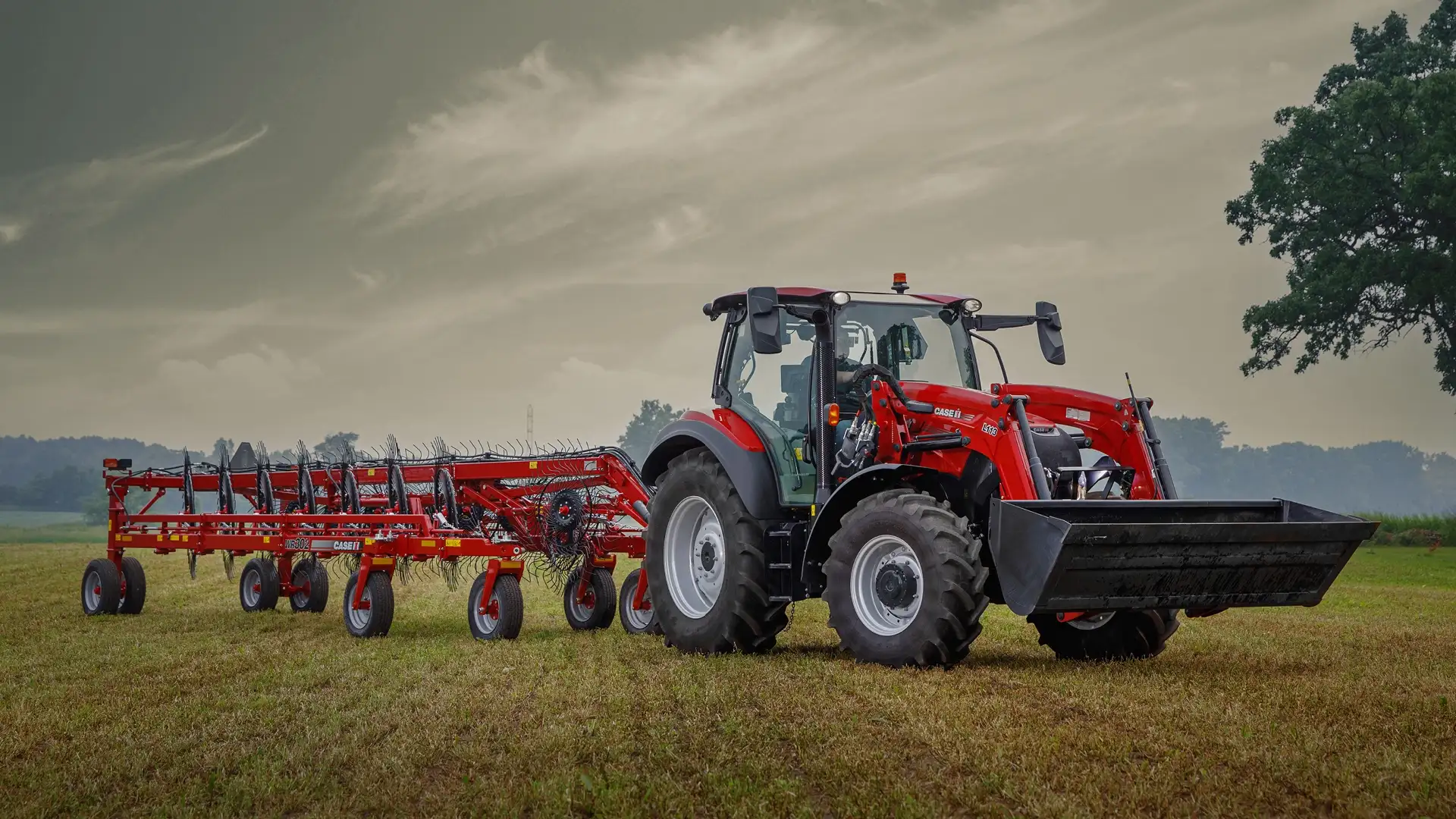 Vestrum with Wheel Rake